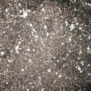 Succulent Plant Soil. Perfect mixture for succulents and cactus. Approximately 4 pounds. image 1