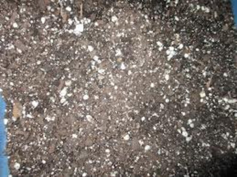 Succulent Plant Soil. Perfect mixture for succulents and cactus. Approximately 4 pounds. image 1