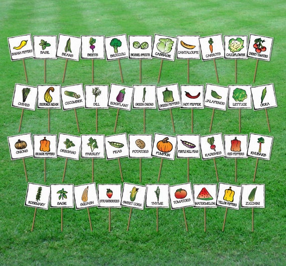 Set of 15 Hand Drawn Garden Markers Etsy