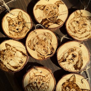 May include: A collection of eight circular wood slices featuring detailed pyrography portraits of various cats and dogs. Each natural wood disc has a rough bark edge and a small twine loop attached at the top for hanging as a decorative ornament.