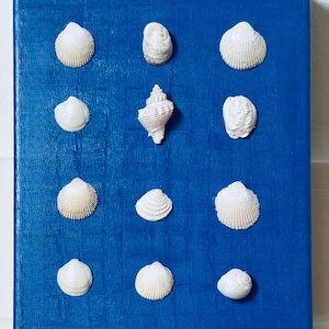 May include: A rectangular wall art piece featuring a vibrant blue canvas with a textured finish. Twelve white seashells of various shapes and sizes are arranged in a grid pattern of four rows and three columns across the blue surface.