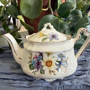 May include: A cream-coloured porcelain teapot featuring a floral pattern with white, yellow, blue and purple flowers. The teapot has a matching lid with a small handle, a curved spout, and a handle with gold-toned trim along the edges.