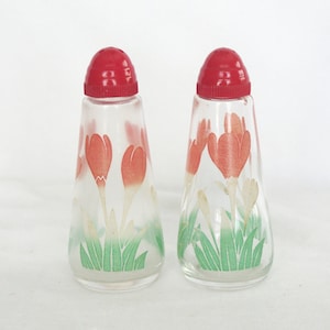 Vintage Salt & Pepper: Atomic, Red Caps, Tulips / Flowers