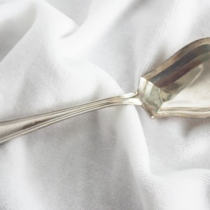 Vintage Silverplated Sugar Spoon / Shell: &quot;Lafayette&quot; Alvin (Gorham) Silver Co. Early 1900s 1915