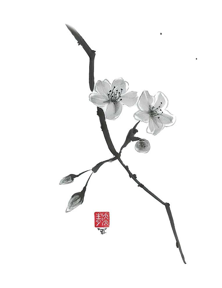 桜の花 水墨画 掛軸 デジタル「桜の花」、ダウンロード、花、墨絵、墨絵、壁アート、植物