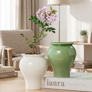 May include: Two ceramic vases with a bulbous shape and a crackled glaze finish. One vase is white and contains a small plant with pink flowers and green leaves, while the other vase is a soft sage green colour. Both have a wide rim and base.
