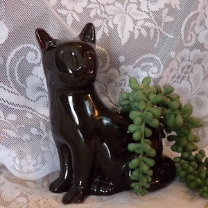 May include: A glossy, dark brown ceramic cat planter with a sitting pose. The cat has pointed ears and a smooth finish. Green succulent plants cascade from the planter, creating a decorative display. The planter is set against a white lace background.