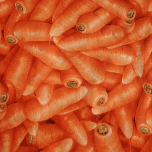 Vintage Carrot fabric  /  Farmers Market Fabric  /   Veggie fabric  /  R J R Fabric  /  Kitchen fabric /  apron fabric  /