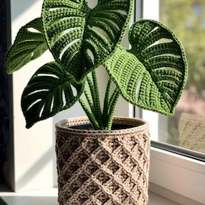 Peut inclure: Une plante monstera au crochet avec des feuilles vert foncé présentant des fentes et des trous caractéristiques, placée dans un panier au crochet beige texturé à motif losange. La plante a plusieurs tiges partant du centre du pot.