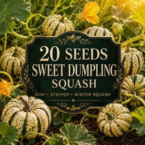 Puede incluir: Un letrero rectangular verde oscuro con texto dorado que dice 20 SEEDS SWEET DUMPLING SQUASH MINI STRIPED WINTER SQUASH, rodeado de varias calabazas pequeñas, redondas y de color crema con rayas verticales verde oscuro en una enredadera.