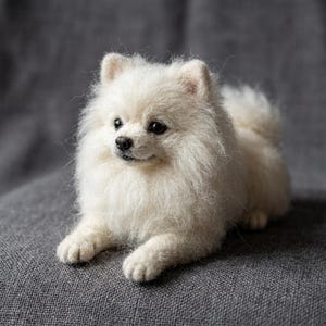 Può includere: Una scultura in lana infeltrita raffigurante un piccolo e soffice cane Pomerania bianco in posizione sdraiata. La figura presenta fibre di lana bianche dense e testurizzate, piccoli occhi scuri, un naso nero e orecchie appuntite.