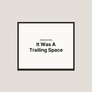 May include: A rectangular wall art piece featuring a thin black frame surrounding a white background. The text is printed in black, centered, and reads: DEBUGGING, It Was A Trailing Space. The design is clean, simple, and uses a bold sans-serif font.