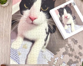 Puede incluir: Un rompecabezas que muestra un gato blanco y negro con ojos amarillos y nariz rosa. La caja del rompecabezas es blanca con una imagen a juego del gato y el texto 500 pcs. Varias piezas sueltas están esparcidas cerca de la esquina inferior.
