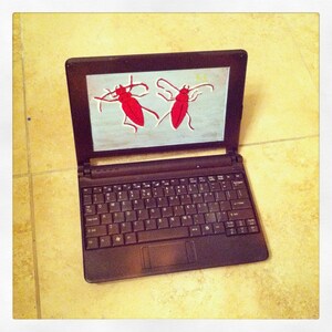 May include: A black laptop computer with a red and white insect design on the screen. The laptop has a standard keyboard and a touchpad.