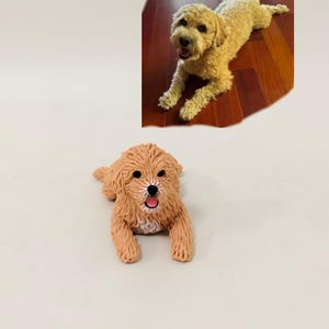 Op de afbeelding: Een klein, beige hondje als beeldje met een textuur van krullende vacht, zwarte ogen, een zwarte neus en een roze tong. Het beeldje is gemodelleerd naar een lichtgekleurde hond met krullen die op een foto boven het object staat.