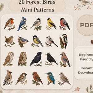 Puede incluir: Una colección digital de 20 patrones en miniatura de aves del bosque con ilustraciones detalladas de varias especies posadas en ramas. El texto dice 20 Forest Birds Mini Patterns, PDF, Beginner Friendly e Instant Download.