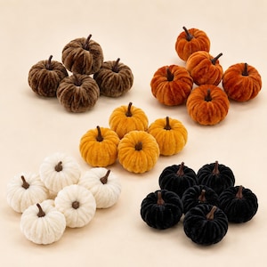 Peut inclure: Une collection de petites citrouilles décoratives disposées en quatre groupes de couleurs distincts. L'ensemble comprend des citrouilles marron foncé, orange vif, jaune doré, blanc crème et noir, chacune avec une texture velours et une tige.