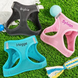 May include: Three mesh pet harnesses in black, pink, and turquoise. The black harness features the name Bigbie, the pink harness features the name Sylvan, and the turquoise harness features the name Hogge. Each harness has reflective strips.