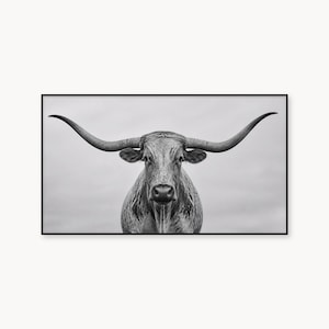 Puede incluir: Una impresión de arte mural enmarcada en blanco y negro que muestra un retrato frontal de una vaca Texas Longhorn. El animal tiene cuernos largos y curvos que se extienden horizontalmente, un pelaje texturizado y un fondo de cielo claro.
