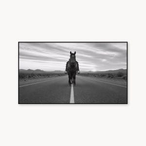 Pode incluir: Uma fotografia a preto e branco de um cavalo selado parado no centro de uma longa estrada de asfalto reta. O cavalo está virado para a frente, posicionado na linha branca central, com uma paisagem desértica e um céu nublado ao fundo.