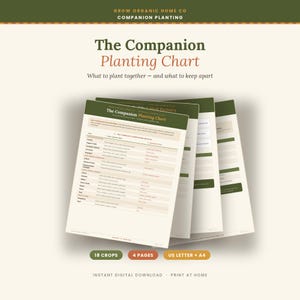 Könnte beinhalten: Ein vierseitiges Begleitpflanzungsdiagramm von Grow Organic Home Co. Das Dokument enthält eine Matrix von 18 Nutzpflanzen, die kompatible und inkompatible Pflanzenkombinationen auflistet. Das Design verwendet eine Farbpalette aus Dunkelgrün, Creme und Orange.