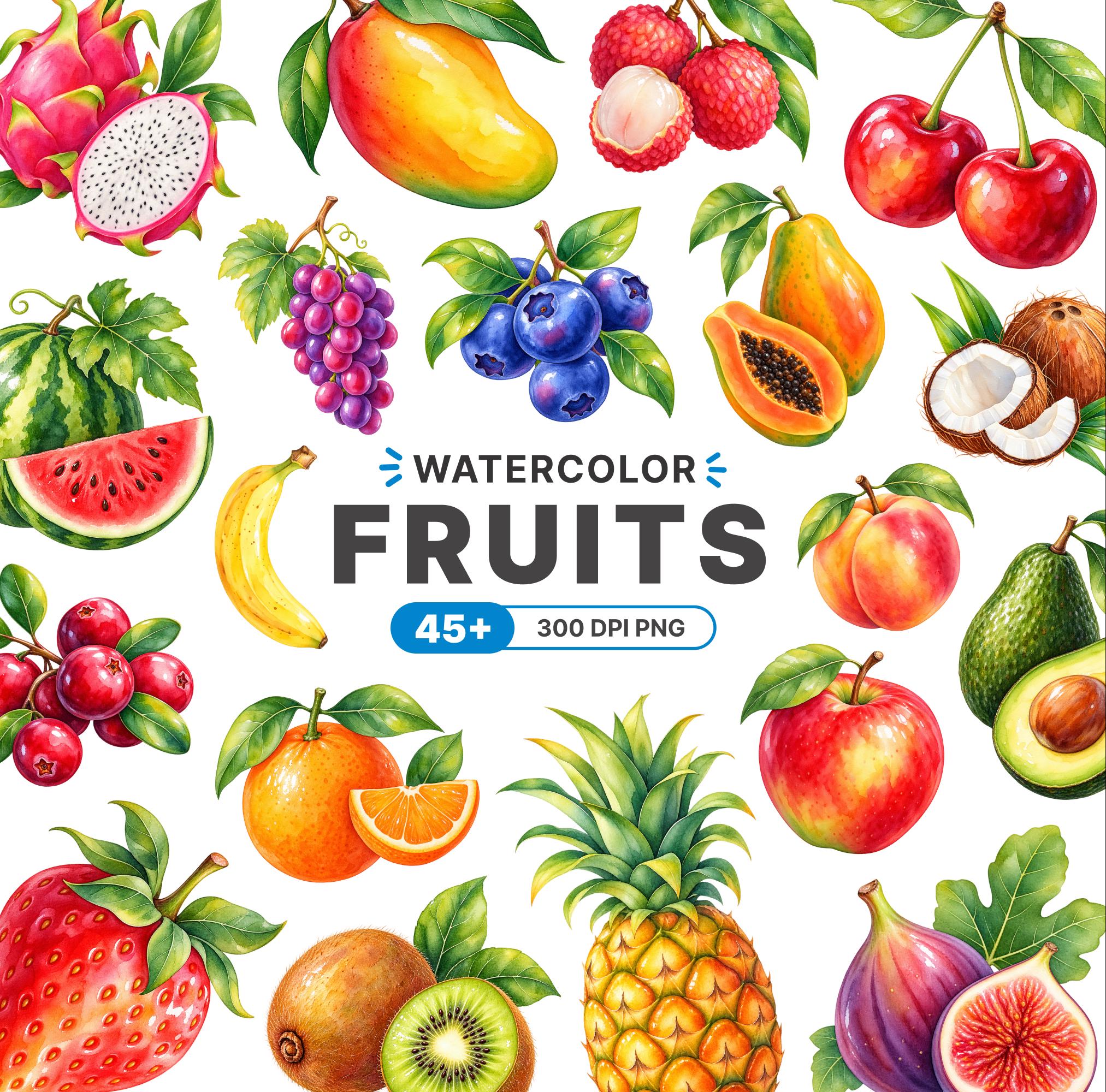 Chico fruit - Etsy 日本
