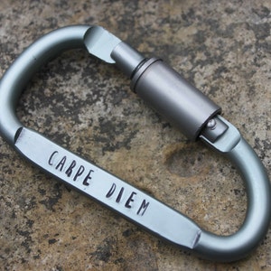 May include: A silver-colored carabiner with the phrase "CARPE DIEM" engraved on the side. The carabiner is a metal clip with a spring-loaded gate, designed for securing ropes or other items. The background is a textured, neutral-toned surface.
