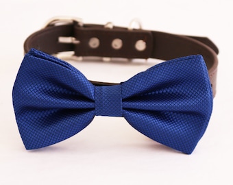 Royal blue bow tie collar XS to XXL collar and bow tie, adjustable Puppy bow tie, handmade boy dog collar, Dog lover ring bearer