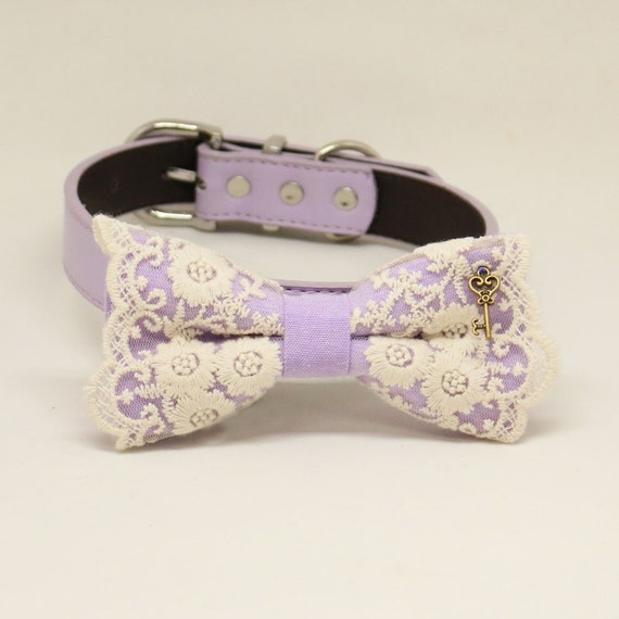 purple bow tie dog collar