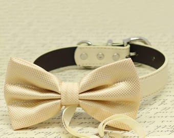 Ivory Dog Bow Tie ring bearer Collar, Pet wedding, proposal, Trendy, Made with Love , Wedding dog collar