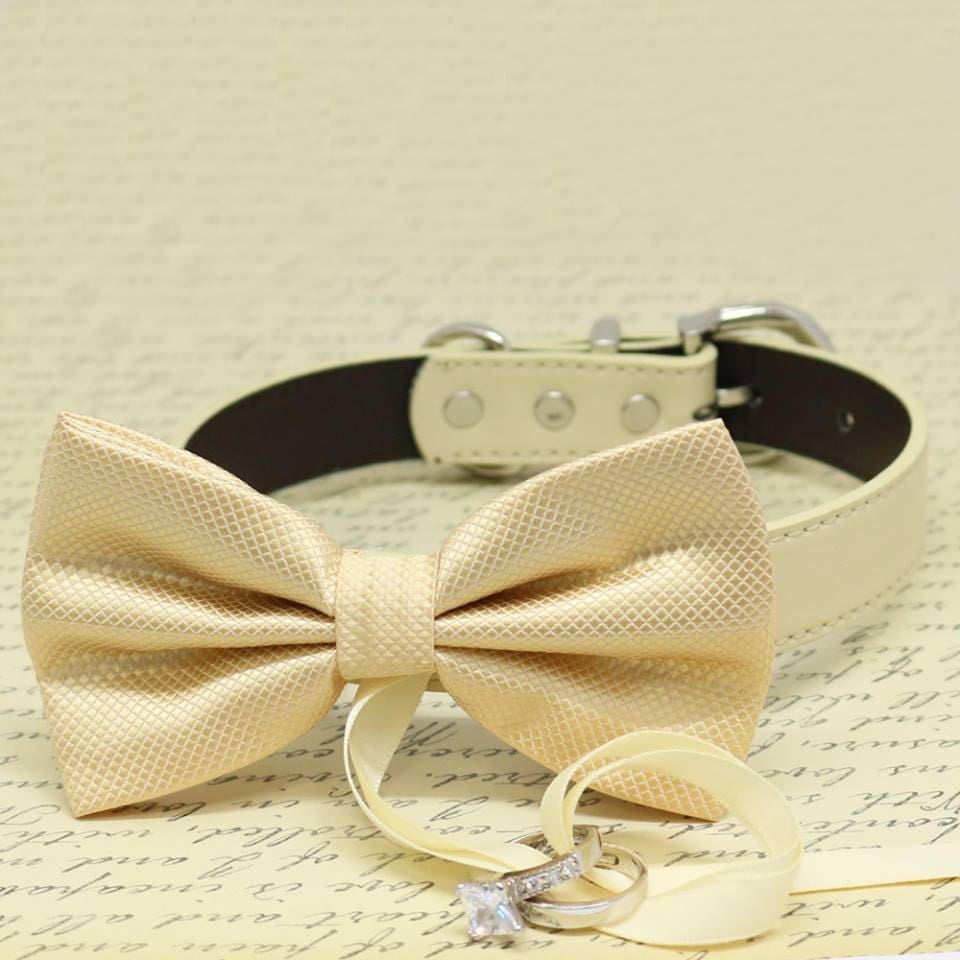 Trendy Made with Love Pet wedding proposal Ivory Dog Bow Tie ring bearer Collar 
