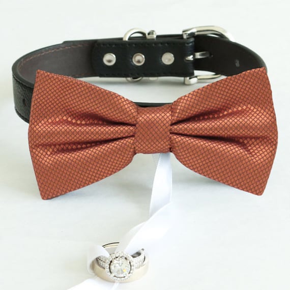 Gold copper Bow tie collar Leather dog Ivory Blue orange copper Navy brown or Gold collar dog of honor dog ring bearer Puppy XS to XXL collar and bow tie