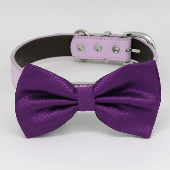 purple bow tie dog collar