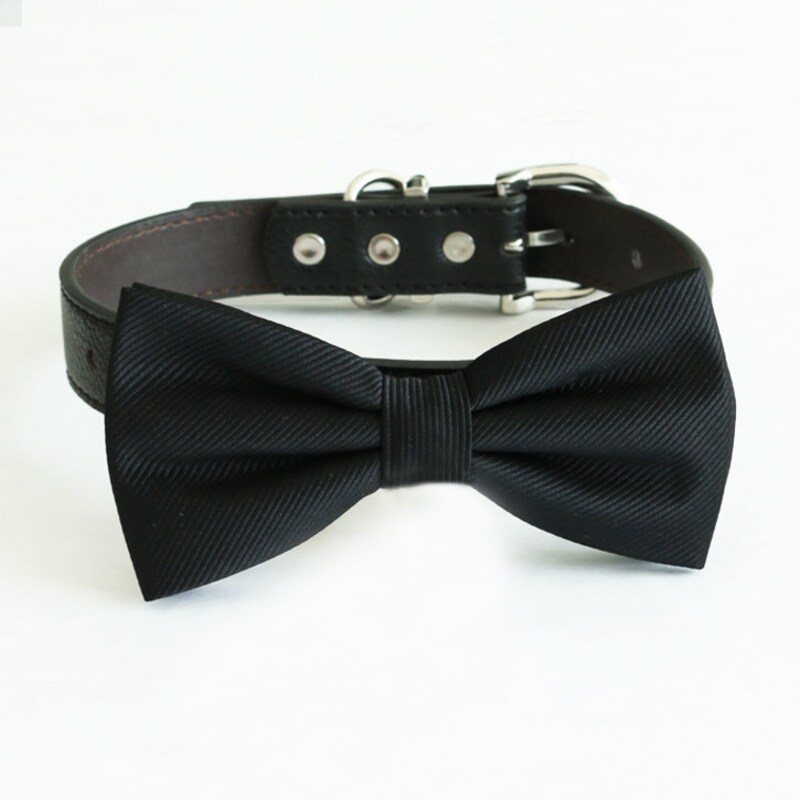 bow tie pet collar