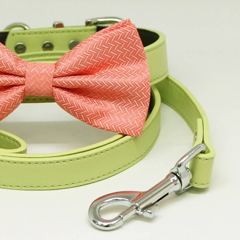 Peach Dog Bow Tie collar Leash Green Leash Handmade Gifts Etsy