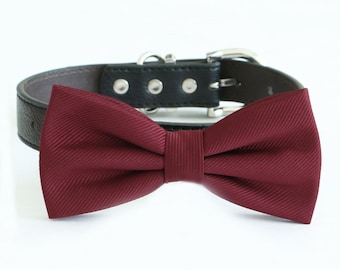 Burgundy bow tie collar Dog lover dog ring bearer XS to XXL collar and bow tie, adjustable, Puppy bow tie, handmade boy dog collar