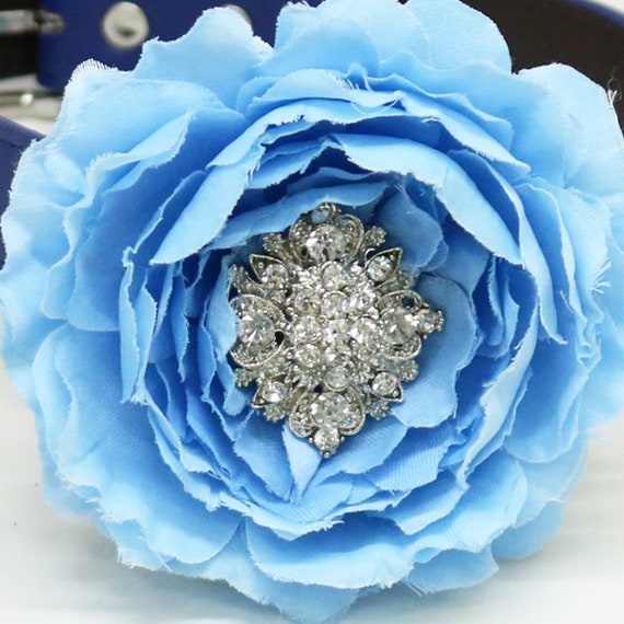 some thing blue beaded Crystal dog collar Blue leather dog collar Wedding accessory Girl collar dog of honor Blue flower dog collar some thing blue beaded Crystal dog collar Blue leather dog collar Wedding accessory Girl collar dog of honor Blue flower dog collar