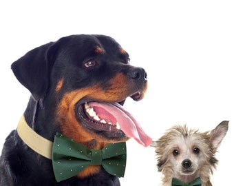 Handmade Colliers De Chien De Mariage Et Noeuds Par Ladogstore