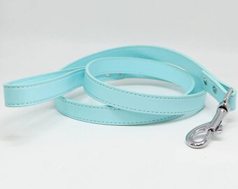 light blue dog leash