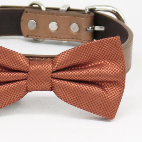 adjustable Rust copper bow tie collar Leather dog Ivory blue orange copper Navy brown or Gold collar dog of honor dog ring bearer Puppy XS to XXL collar and bow tie