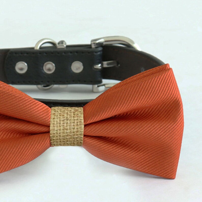 Cinnamon bow tie collar handmade Puppy bow tie XS to XXL Etsy