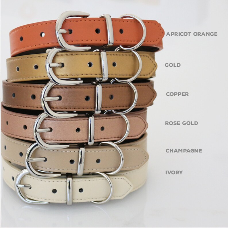 Copper Bow Tie Dog Collar Blue Black Gray Brown Ivory Royal Etsy