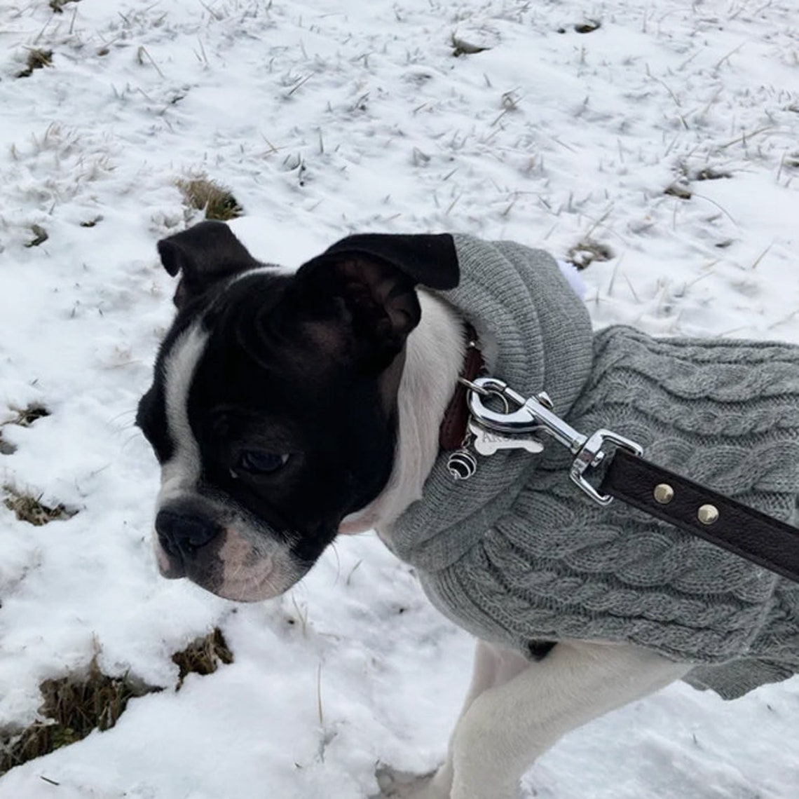 Sage Green Dog Leash Pet Accessory Sage Green Leather Leash Etsy