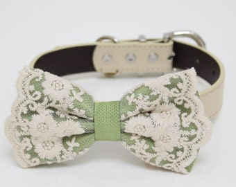 Sage Green Bow tie collar, Green lace Bow tie attach to Ivory, brown, Copper, Champagne, gray, green or white leather collar, handmade