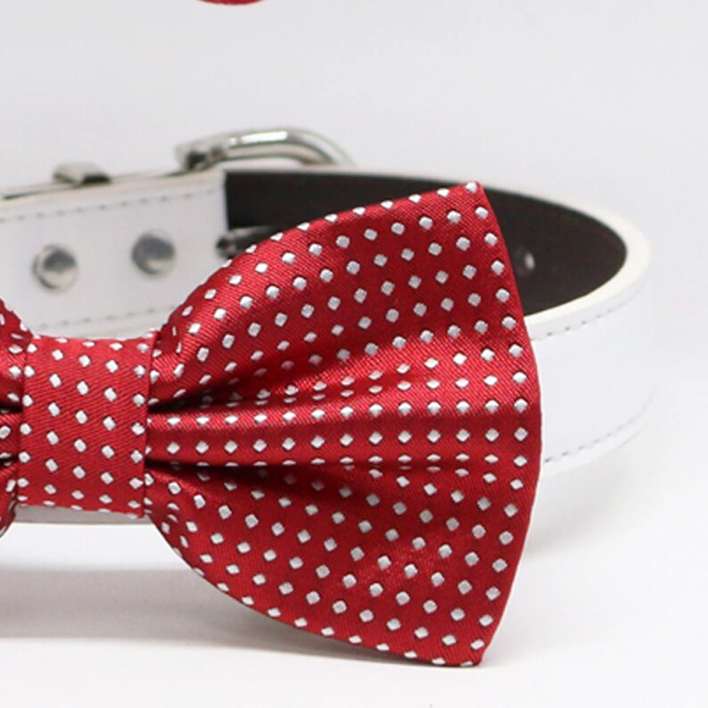 Red Polka Dots Dog Bow Tie Collar Dog Accessories Red Etsy