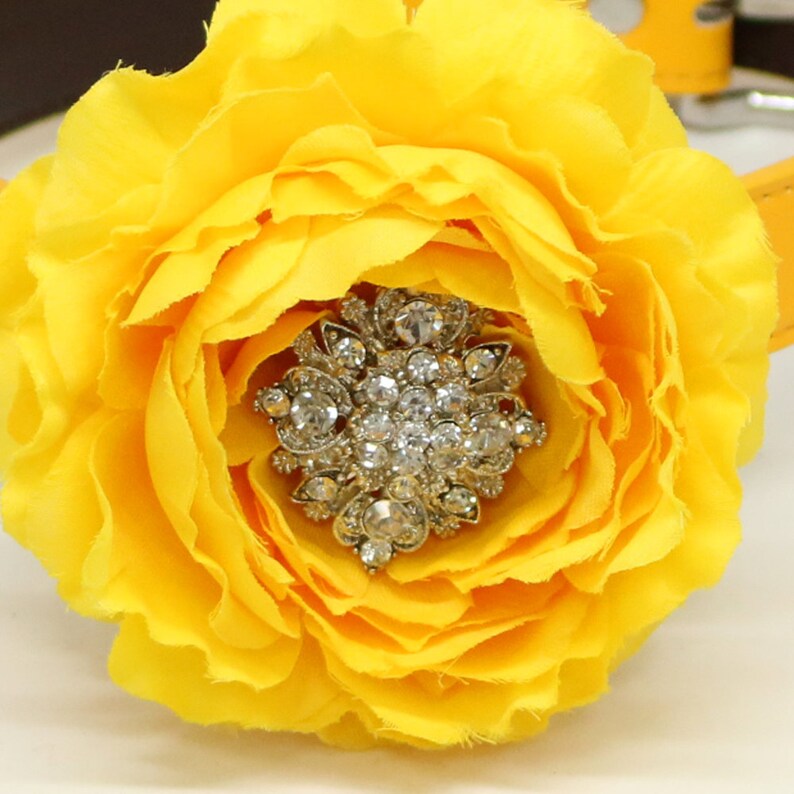 Yellow Flower Dog Collar Yellow Leather Dog Collar Girl Etsy