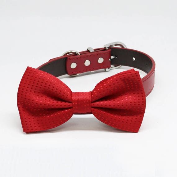 Red Dog Bow Tie Collar Dog Lovers Red Dog Bow Pet Wedding Etsy