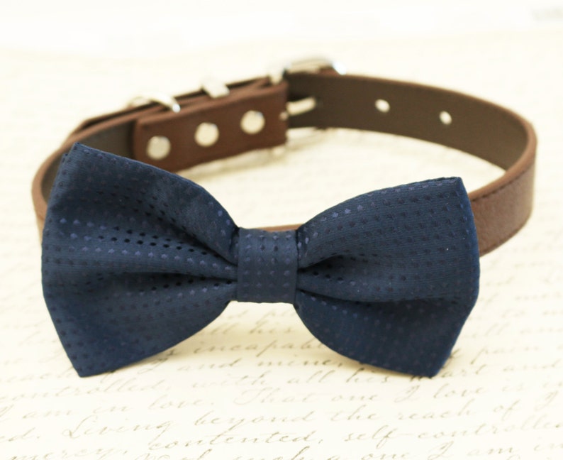 cutaway collar with bow tie