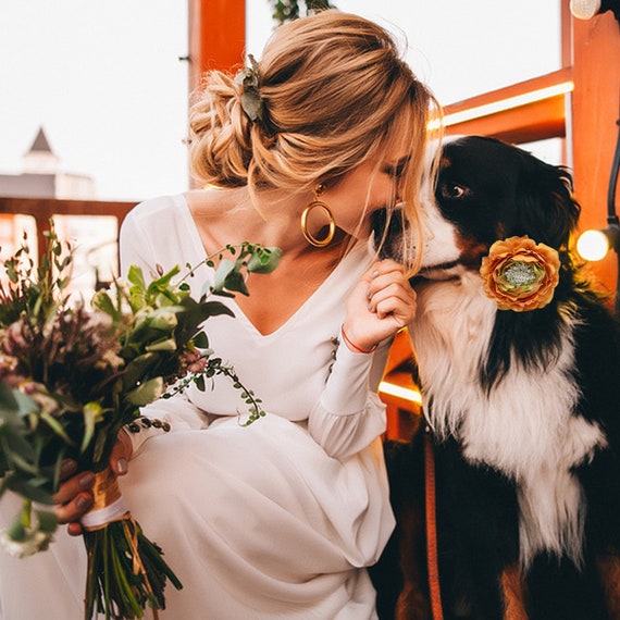 Ivory Red Flower dog collar Red beaded lilac or Gray leather collar Pearl Black Champagne feather flower attached to Ivory Ivory Red Flower dog collar Red beaded lilac or Gray leather collar Pearl Black Champagne feather flower attached to Ivory