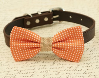 Orange Dog Bow Tie collar, Black Gray Brown Ivory Champagne Copper Gold or orange Leather dog collar Puppy bow XS to XXL collar and bow